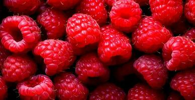 eco hallon. makro av färsk organisk naturlig bär. frukt röd bakgrund - ai genererad bild foto