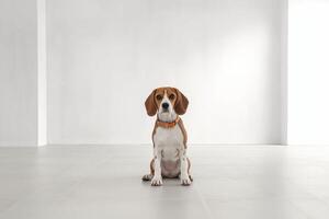 oskyldig beagle stående i vit rum - ai generativ foto
