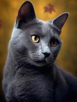 porträtt av en skön grå katt på en mörk bakgrund. generativ ai foto