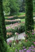 blödning blommor i Tyskland foto