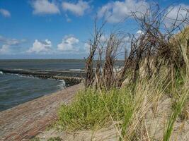 de ö spiekeroog i Tyskland foto