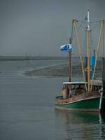 spiekeroog i de tysk norr hav foto