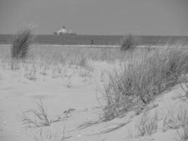 ön spiekeroog i tyskland foto