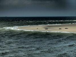 borkum ö i de norr hav foto