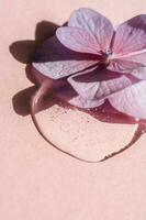 en släppa av transparent kosmetisk gel med blomma på en rosa bakgrund. foto