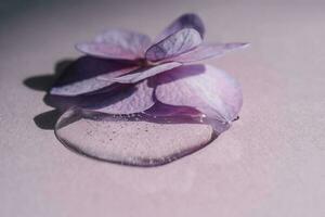 en släppa av transparent kosmetisk gel med blommor på en lila bakgrund. foto