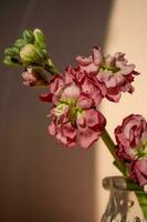 skön abstrakt bakgrund med blommor och vaser. foto