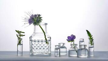 annorlunda flaskor av vatten med blommor på en ljus bakgrund. den kan passa de tema av kosmetika, glas och friskhet. foto