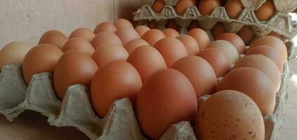 häfta mat - fotografi av en knippa av ägg på de ägg bricka foto