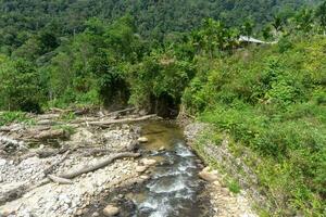 skog och flod se i lokop serbajadi, öst aceh, Indonesien. landskap av små flod och torr skog träd med skön berg bakgrund. foto