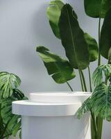 Foto 3d framställa vit podium med växter för produkt visa tropisk begrepp