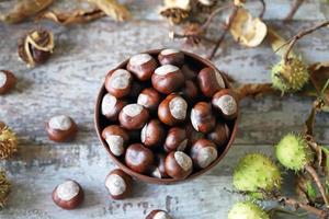 kastanjer och buckeyes i höststemning foto