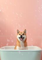 söt shiba inu hund i en små badkar med tvål skum och bubblor, söt pastell färger, generativ ai. foto