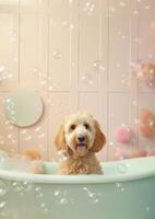 söt gyllene klotter hund i en små badkar med tvål skum och bubblor, söt pastell färger, generativ ai. foto
