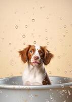 söt brittany spaniel hund i en små badkar med tvål skum och bubblor, söt pastell färger, generativ ai. foto