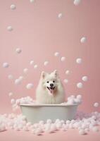 söt amerikan eskimo hund i en små badkar med tvål skum och bubblor, söt pastell färger, generativ ai. foto
