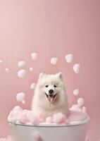 söt samojed hund i en små badkar med tvål skum och bubblor, söt pastell färger, generativ ai. foto
