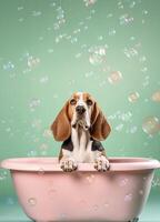 söt basset hund hund i en små badkar med tvål skum och bubblor, söt pastell färger, generativ ai. foto