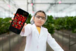 liten flicka forskare med vetenskap klass jordgubb näringsämne produktion experimentera, i de stängd jordgubb trädgård. foto