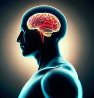 ai generera Foto 3d framställa av en medicinsk bild av en manlig figur med hjärna markerad