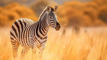 zebra i de nationell natur parkera, baner tillverkad med generativ ai foto