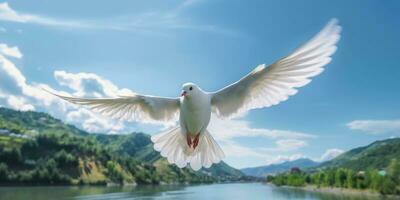 internationell fred dag, vit duva flygande på blå himmel bakgrund, fågel av fred symbol. generativ ai foto