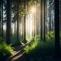 träd i skog ai genererad, en sommar morgon- med Sol foto