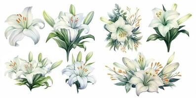 uppsättning av 7 vattenfärg stil vit lilja buketter på vit bakgrund foto
