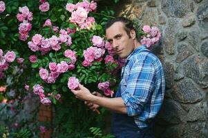 attraktiv trädgårdsmästare leende på kamera, nedskärningar ro på en blommande buske, hävdar de landskap av de herrgård gård foto