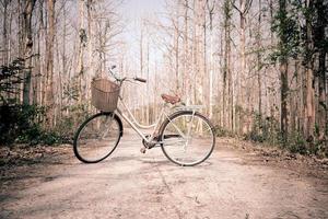 vacker vintage cykel i skogen foto