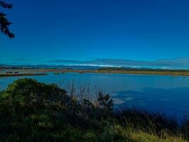 Foxton strand, ny zealand foto