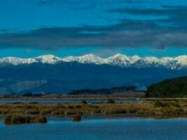 Foxton strand, ny zealand foto