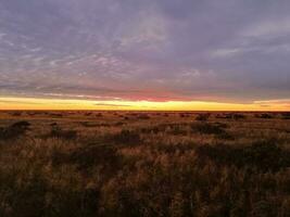 nullarbor slätter vildmark foto