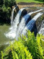 paronella parkera, queensland Australien foto