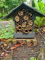 paronella parkera, queensland Australien foto