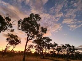 piggsvin klyfta, queensland Australien foto