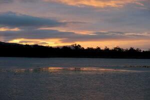 mareeba våtmarker, queensland Australien foto