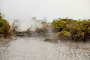 rotorua termik, ny zealand foto