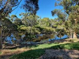 australier vildmark landskap foto