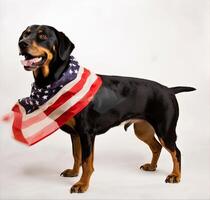 hund i de bakgrund av de amerikan flagga. amerikan flagga på oberoende dag. de begrepp av amerika. flagga dag i de förenad stater av amerika. skapas med generativ ai teknologi. foto