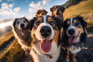 en grupp av hundar tar en selfie på en suddig bakgrund. generativ ai foto