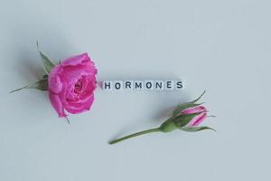 hormoner ord kuber på en vit bakgrund foto