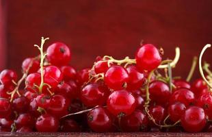 röd vinbär färsk sommar hälsosam smak råa trädgårdsfrukter foto