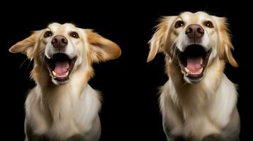 en hundar rolig reaktioner till olika varje dag situationer, från rolig ansiktsbehandling uttryck till komisk upptåg, ai genererad foto