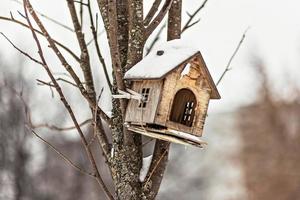vackert träfågelhus för fåglar på ett träd. vintertid foto