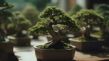 skön bonsai växt rada upp i en keramisk pott inomhus. ai genererad foto