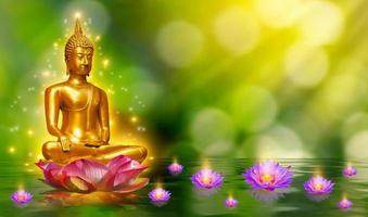 buddha staty vatten lotus buddha står på lotusblomma på orange bakgrund foto
