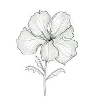 teckning begonia blomma ai genererad foto