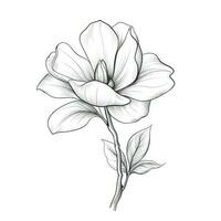 magnolia gardenia blomma ai genererad foto