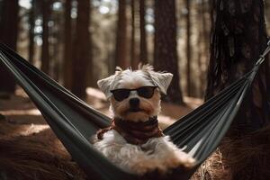 söt hund är Sammanträde på en hängmatta i en tall skog ,generativ ai foto